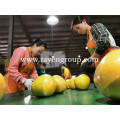 Wholesale Shatian Pomelo Juicy Healthy Fresh Shatian Pomelo